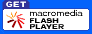 Scarica il Plug In per la visualizzazione dei filmati in FLASH